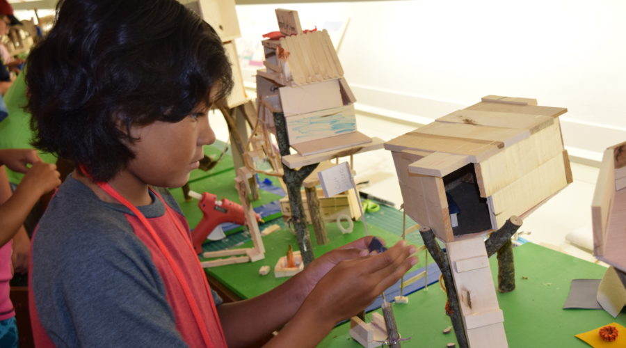 2019 Architecture and Design Summer Camps now available for booking